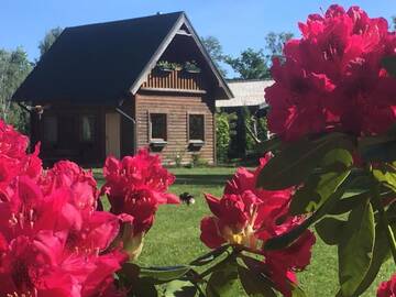 Фотографии Шале Melluzi chalet г. Юрмала (Латвия) №2 Фото Шале Melluzi chalet г. Юрмала 2