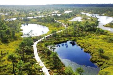 Фото номера Апартаменты Апартаменты 500 m from the sea г. Юрмала 86