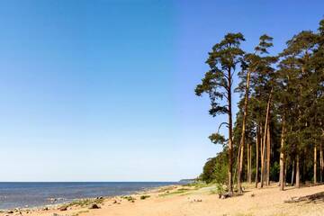 Фото номера Апартаменты Апартаменты 500 m from the sea г. Юрмала 31