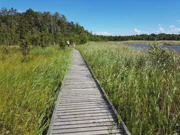 Фото номера Апартаменты с балконом Апартаменты Enjoy Jurmala г. Юрмала 69