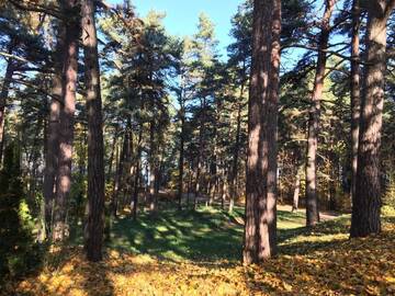 Фото номера Дом для отпуска Дома для отпуска Guest house Jaundubulti &amp; SPA г. Юрмала 50