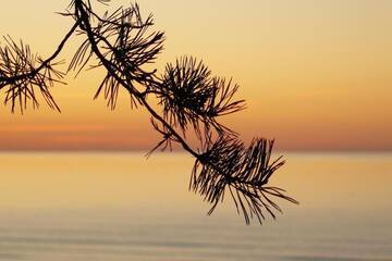 Фото номера Дом с 2 спальнями Дома для отпуска JURMALA ,экологический дом,2 этаж с отдельным входом г. Юрмала 35